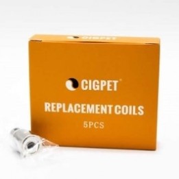 5PZ COIL PER ANT - 0,25 OHM - IJOY