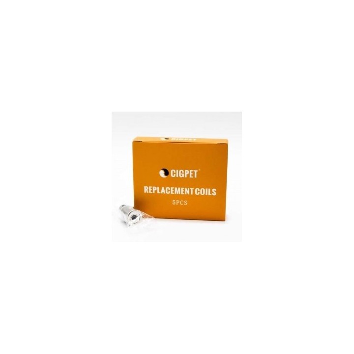 5PZ COIL PER ANT - 0,25 OHM - IJOY