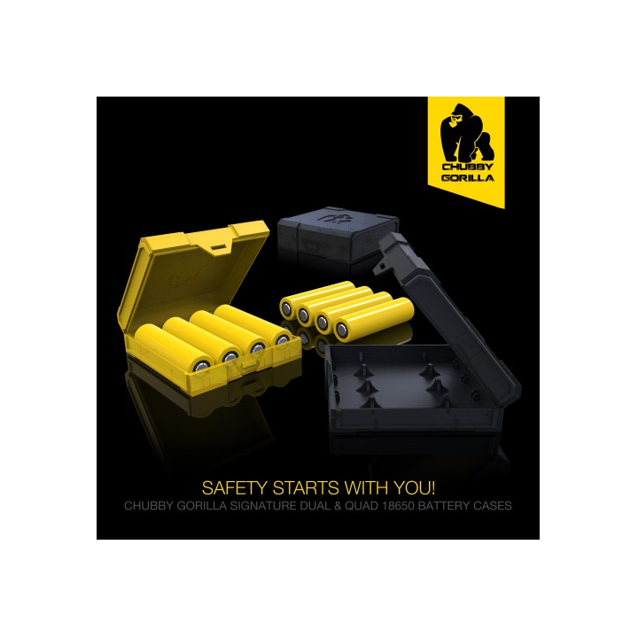 QUAD 18650 BATTERY CASE