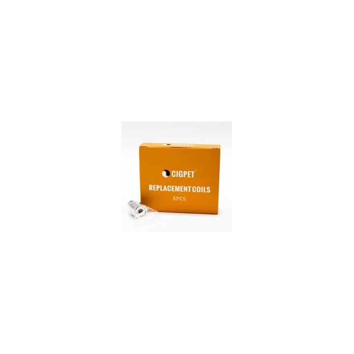 5PZ COIL PER ANT - 0,25 OHM - IJOY