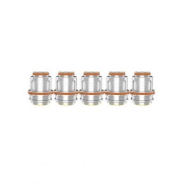 5PZ COIL Z SERIES - Z0.2 OHM - GEEK VAPE